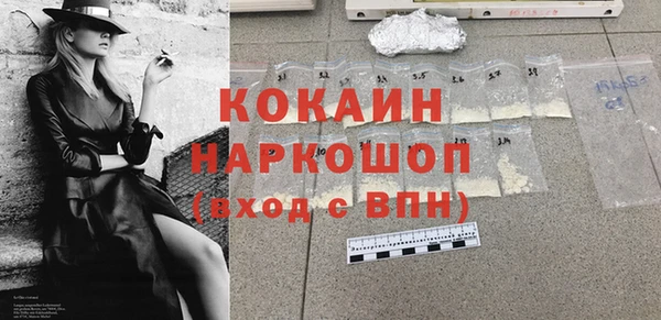амф Гатчина