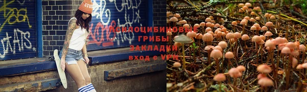 индика Алексеевка