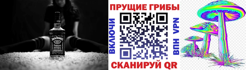 Псилоцибиновые грибы GOLDEN TEACHER  Асино 