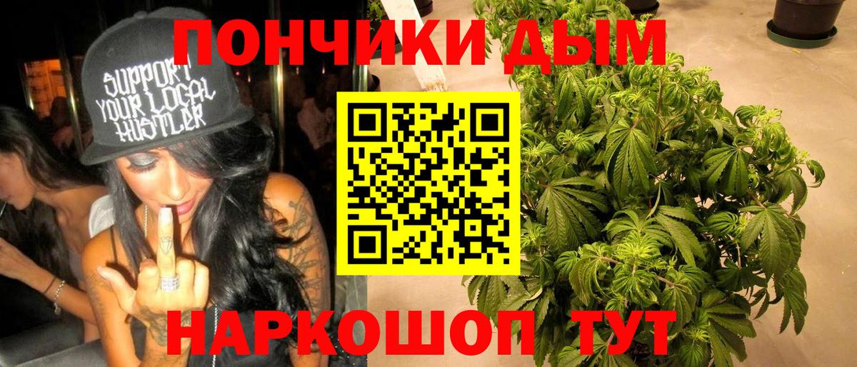 Асино  Конопля Bruce Banner  Канабис ГИДРОПОН  Каннабис Amnesia  Вход с VPN 
